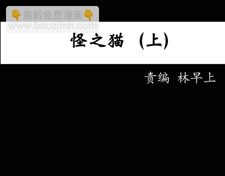 第28话 怪之猫(上)2