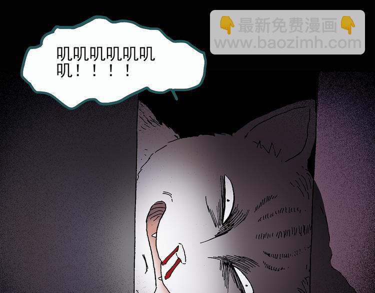 第28话 怪之猫(上)28