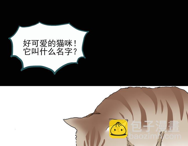 第28话 怪之猫(上)3