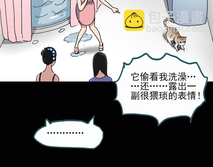 第28话 怪之猫(上)32