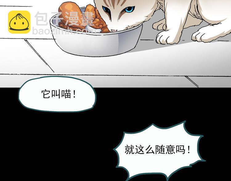 第28话 怪之猫(上)4