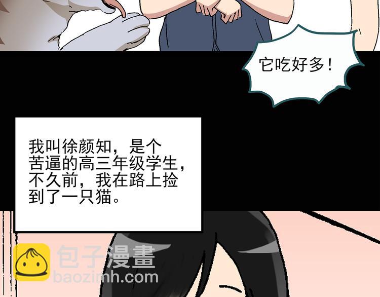 第28话 怪之猫(上)6
