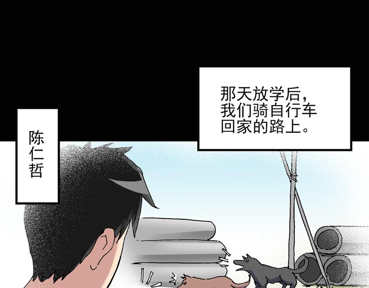 第28话 怪之猫(上)8