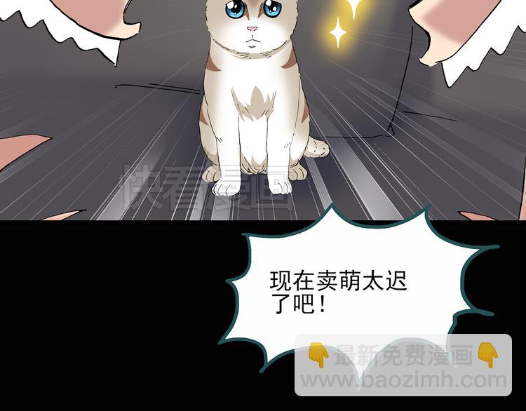第29话 怪之猫(中)31