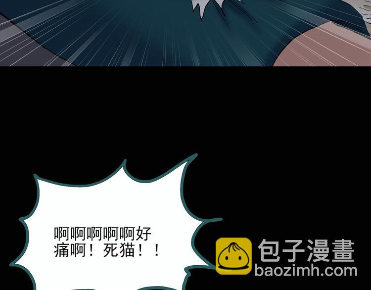 第29话 怪之猫(中)44