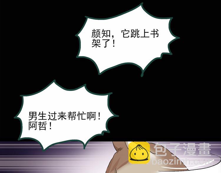 第30话 怪之猫(中2)17