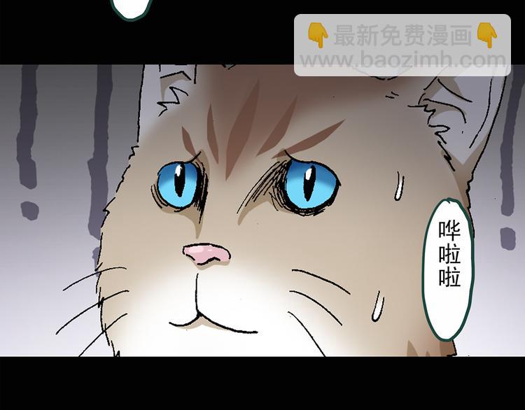 第30话 怪之猫(中2)6