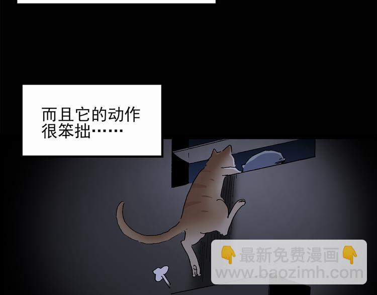 第30话 怪之猫(中2)62