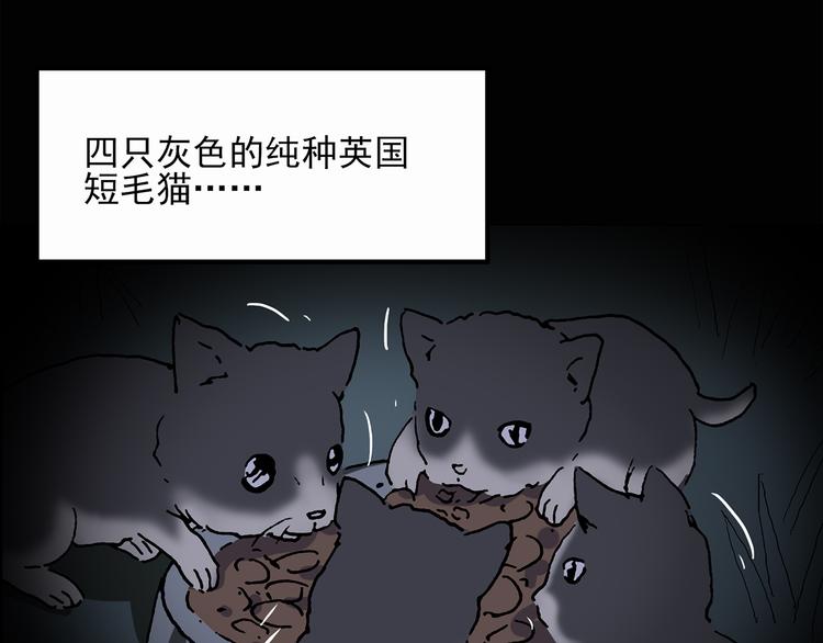 第30话 怪之猫(中2)73