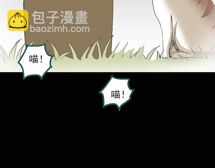 第31话  怪之猫（下）38