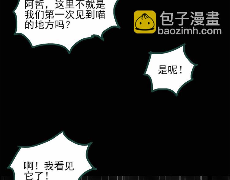 第31话  怪之猫（下）5