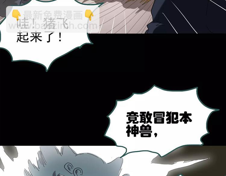 第59话 背宝金猪（下）13