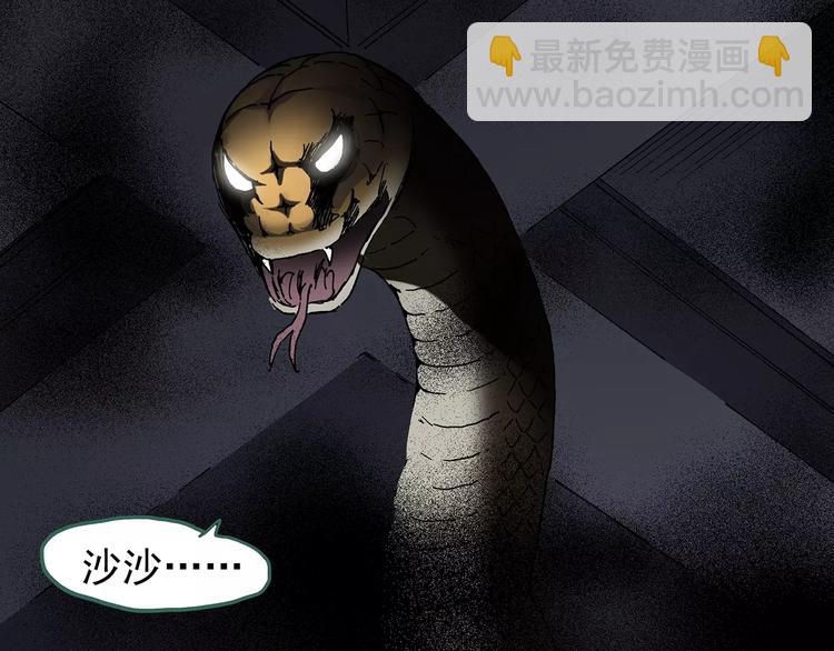 第81话 蛇之诅咒（十三）21