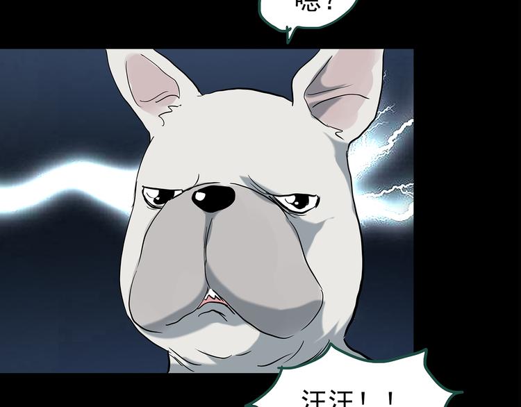 第146话 怪之狗 五18
