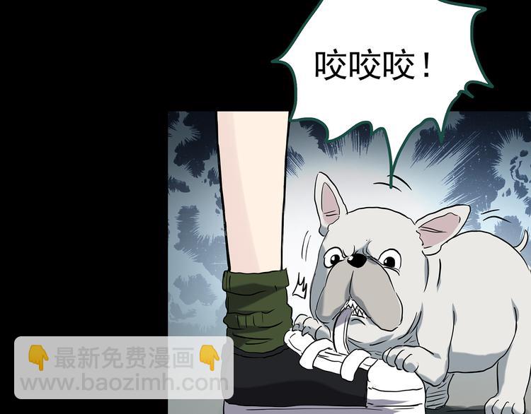 第146话 怪之狗 五70