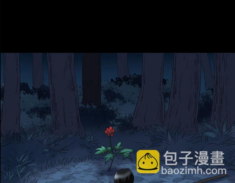 第210话 人参村（中）105