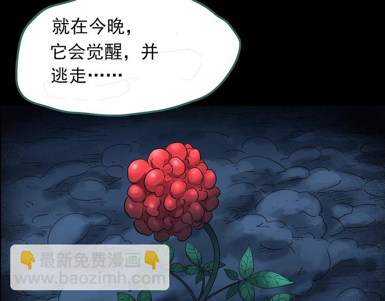 第210话 人参村（中）120