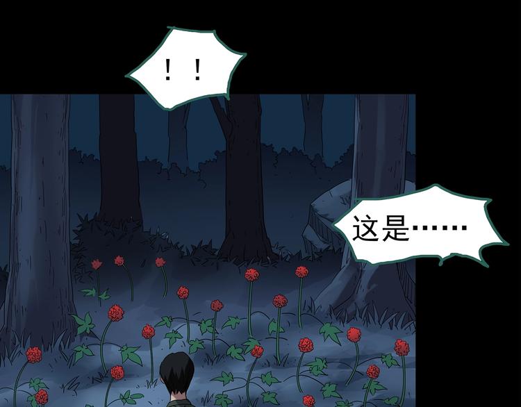 第211话 人参村（中二）33