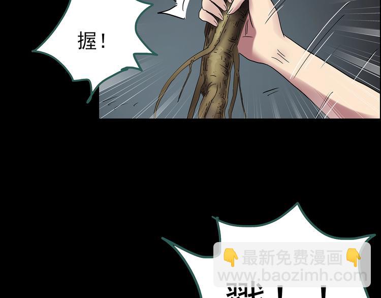 第211话 人参村（下）51
