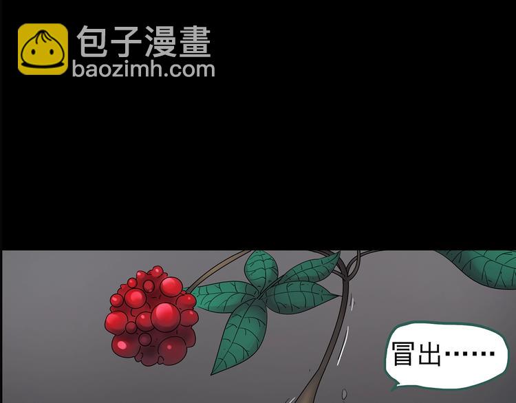 第211话 人参村（下）78