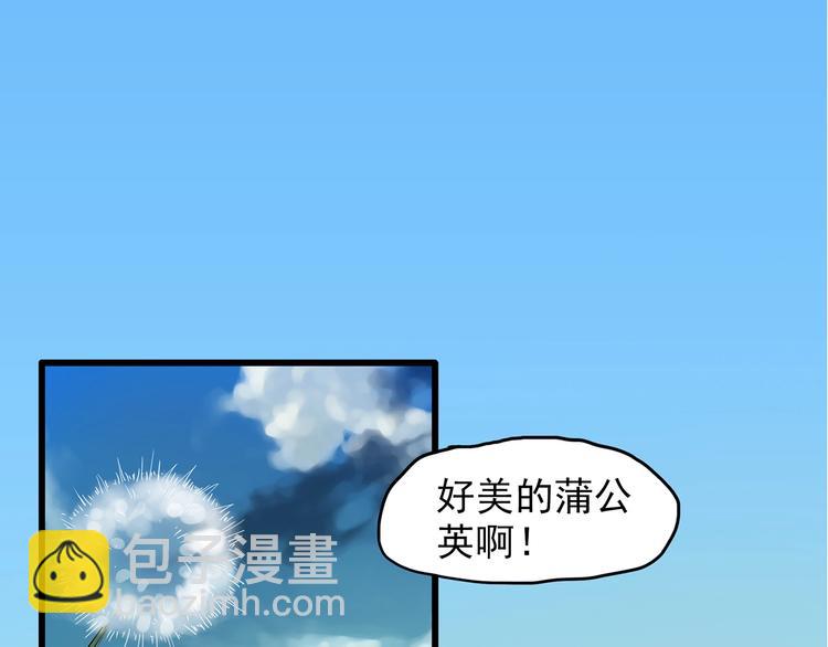 第215话 美丽的蒲公英(上)4