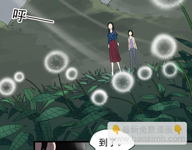 第215话 美丽的蒲公英(下)66
