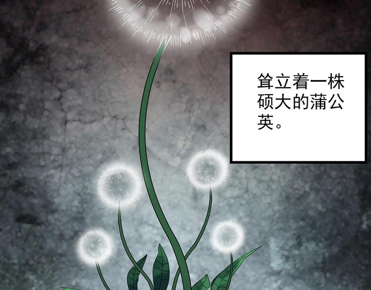第215话 美丽的蒲公英(下)72