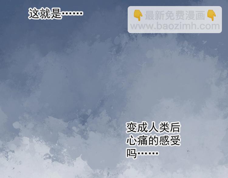 第221话 遗失的记忆（五）28