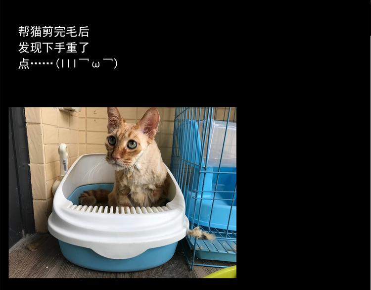 第223话 遗失的记忆（七）96