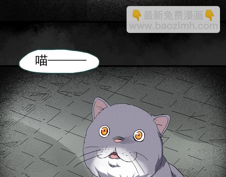 第238话  装修  下31