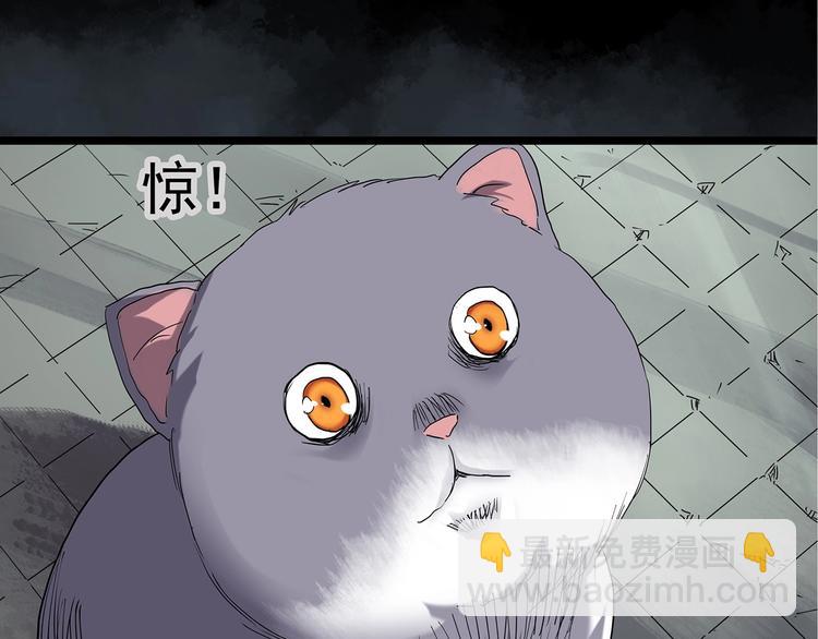 第238话  装修  下62