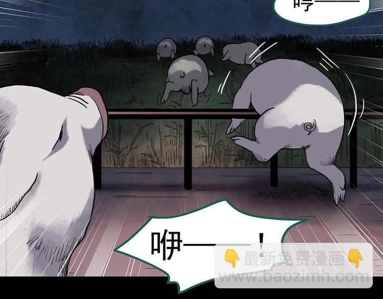 第255话  美女猪肉铺  下71