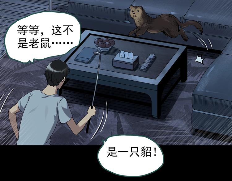 第270话   貂皮大衣  中13