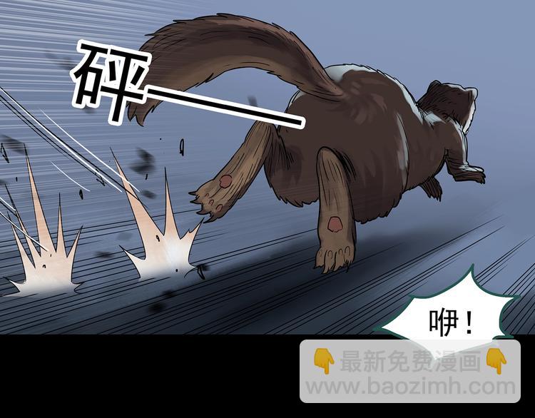 第270话   貂皮大衣  中17