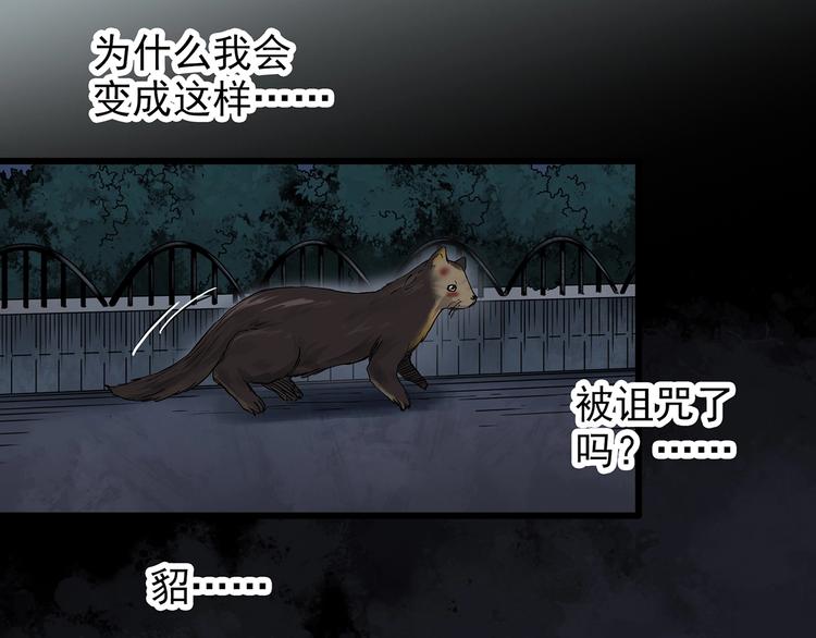 第270话   貂皮大衣  中41