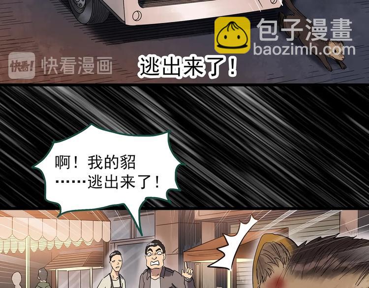 第271话   貂皮大衣  下11