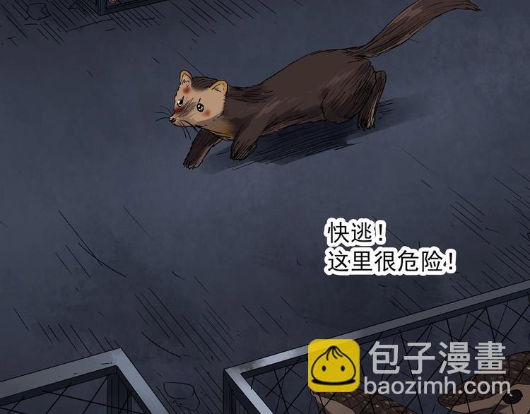 第271话   貂皮大衣  下15