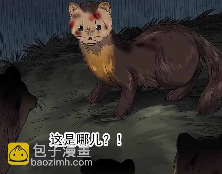 第271话   貂皮大衣  下24