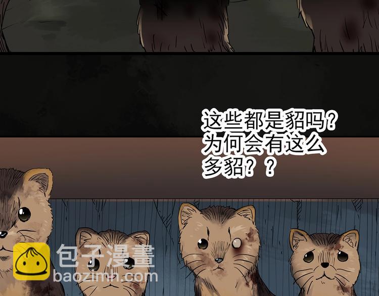 第271话   貂皮大衣  下25