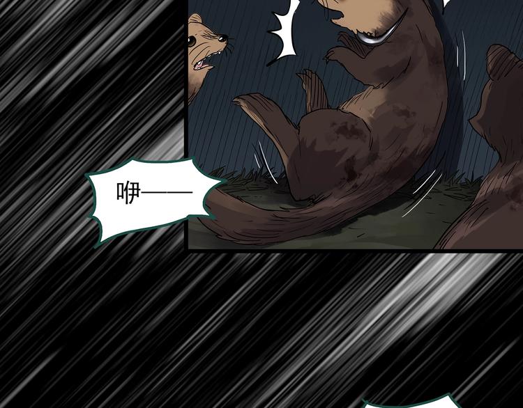 第271话   貂皮大衣  下29