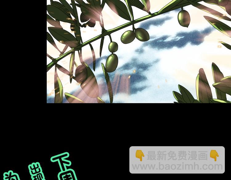 第331话 贞节橄榄树（下）139
