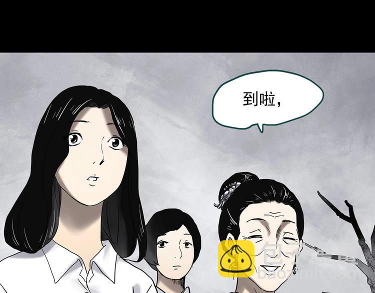 第331话 贞节橄榄树（下）43