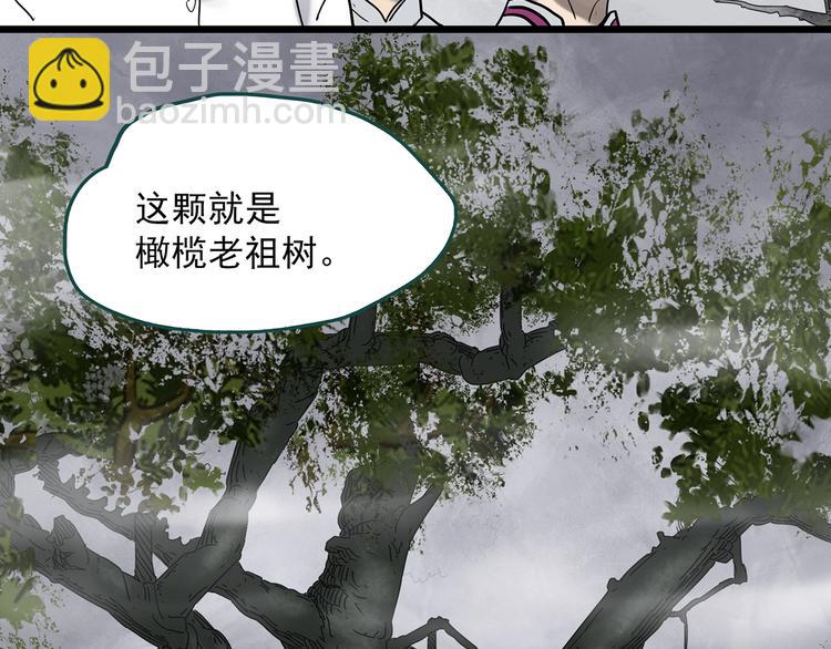 第331话 贞节橄榄树（下）44