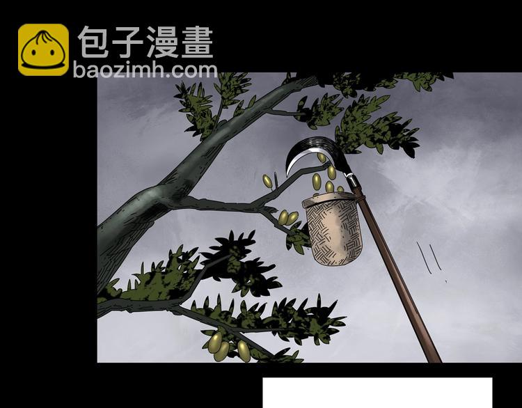 第331话 贞节橄榄树（下）52