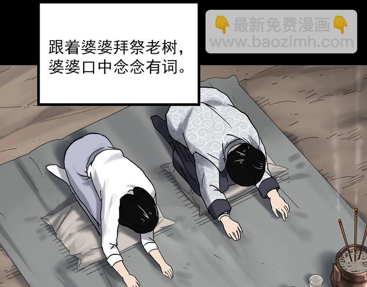 第331话 贞节橄榄树（下）54