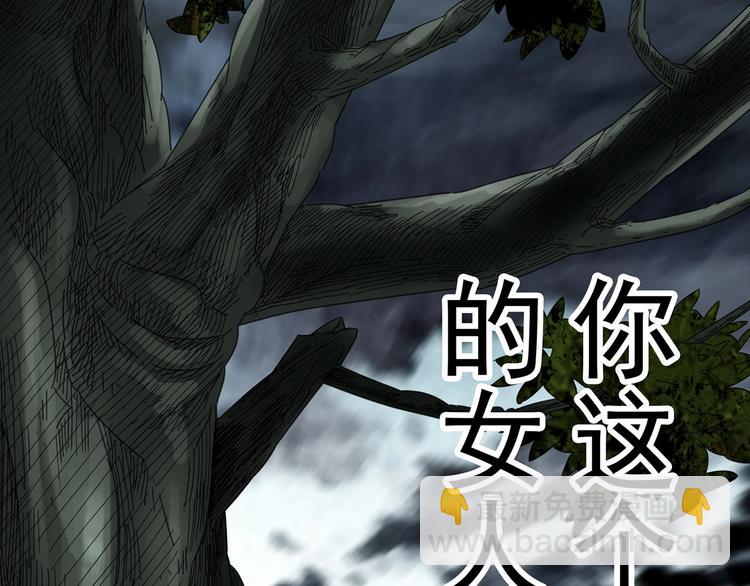 第331话 贞节橄榄树（下）74