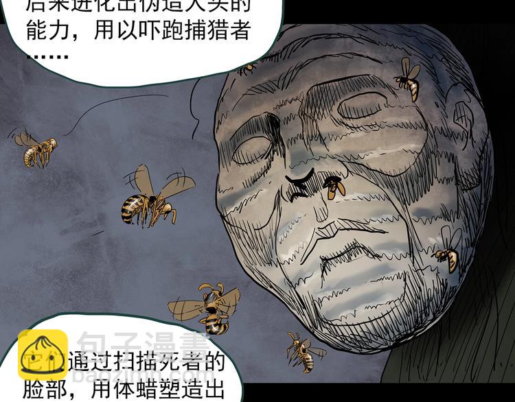 第334话 人头蜂巢（上）69