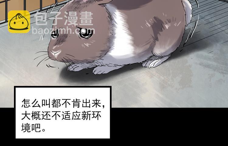 第357话 树上影 上24