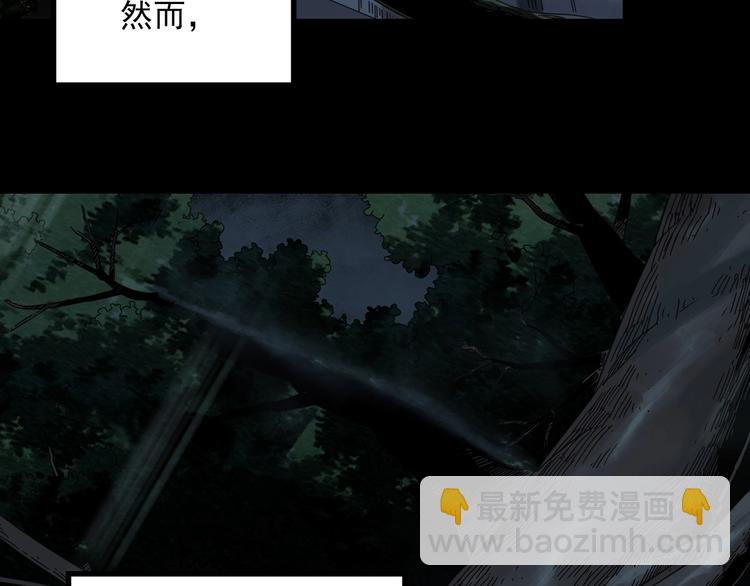 第357话 树上影 上61