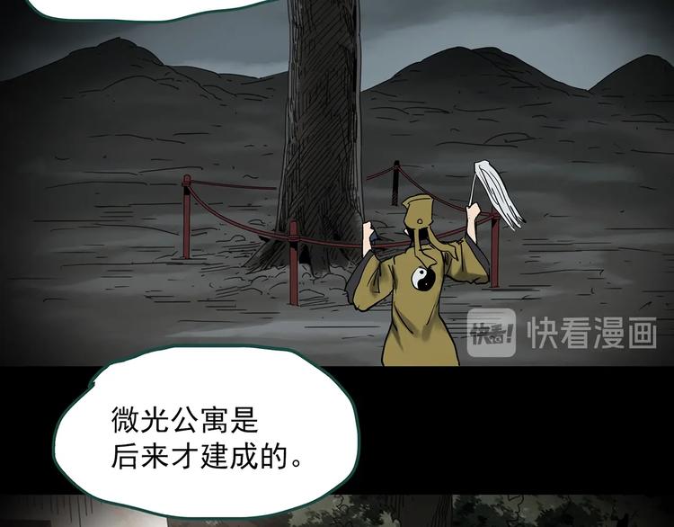 第357话 树上影 上92